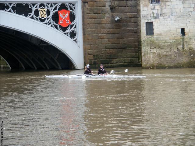 PICT5541-Crew_rowers